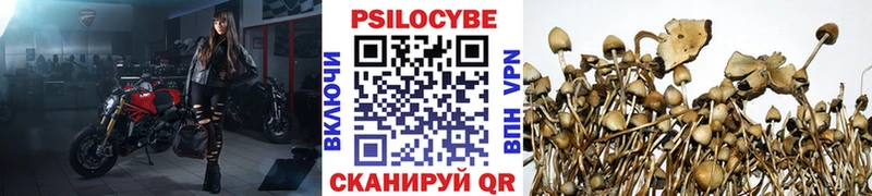 Псилоцибиновые грибы Magic Shrooms  shop официальный сайт  Оренбург  где купить  